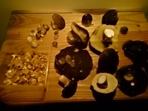 DSC_0033[1]