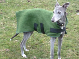 Rudy's new coat