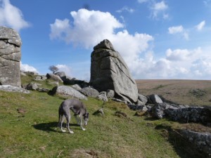 Cuckoo Rock